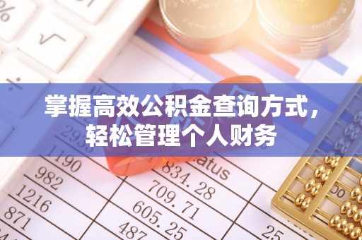 若尔盖掌握高效公积金查询方式，轻松管理个人财务
