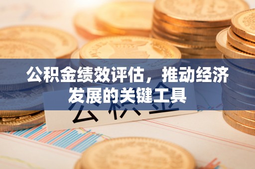 若尔盖公积金绩效评估，推动经济发展的关键工具