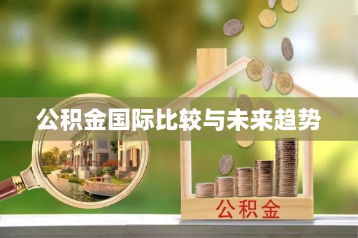 若尔盖公积金国际比较与未来趋势