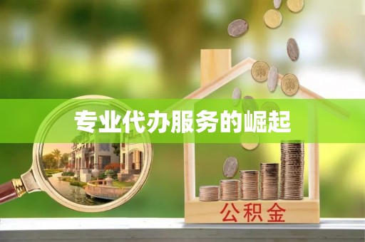 若尔盖专业代办服务的崛起