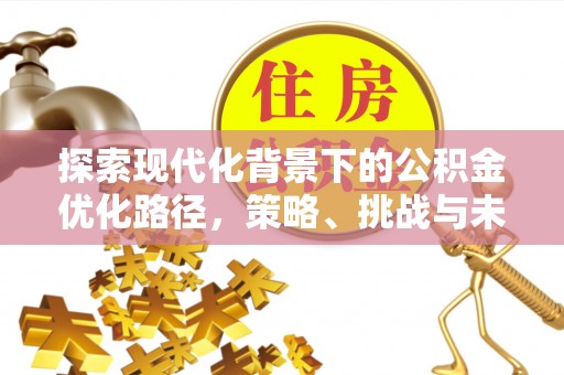 若尔盖探索现代化背景下的公积金优化路径，策略、挑战与未来展望