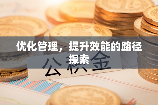 若尔盖优化管理，提升效能的路径探索