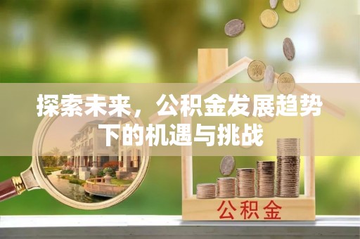 若尔盖探索未来，公积金发展趋势下的机遇与挑战