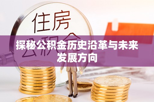 若尔盖探秘公积金历史沿革与未来发展方向