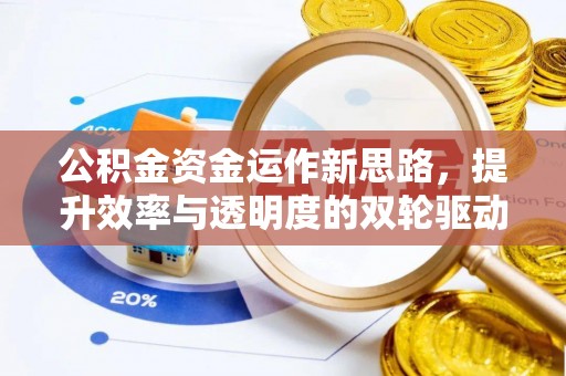 若尔盖公积金资金运作新思路，提升效率与透明度的双轮驱动