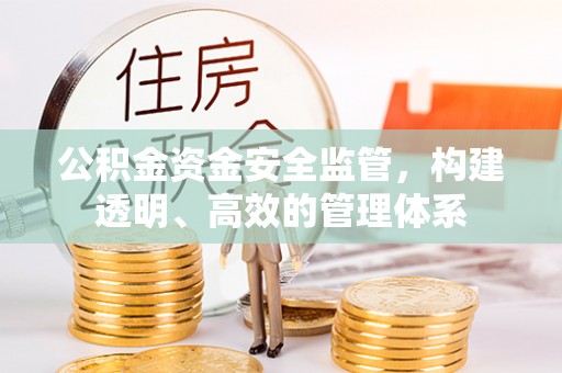 若尔盖公积金资金安全监管，构建透明、高效的管理体系