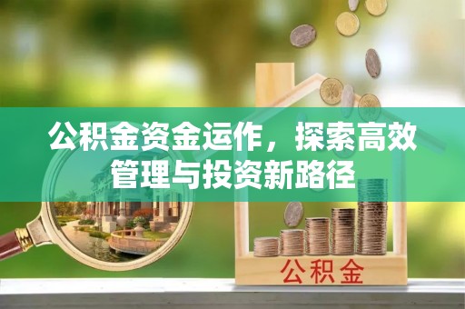 若尔盖公积金资金运作，探索高效管理与投资新路径