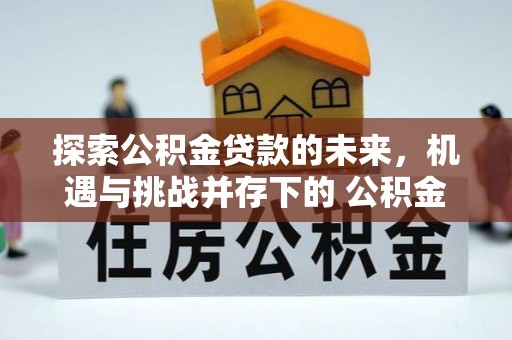 若尔盖探索公积金贷款的未来，机遇与挑战并存下的 公积金贷款风险防控