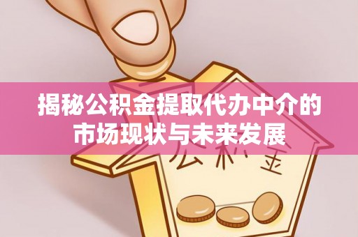 若尔盖揭秘公积金提取代办中介的市场现状与未来发展