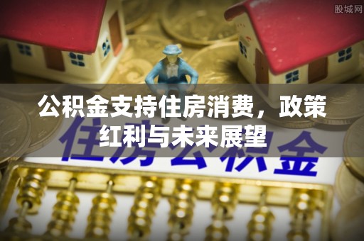 若尔盖公积金支持住房消费，政策红利与未来展望
