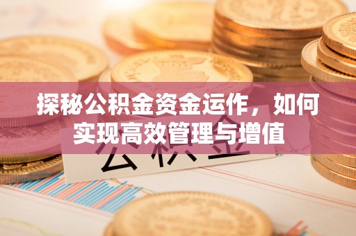 若尔盖探秘公积金资金运作，如何实现高效管理与增值