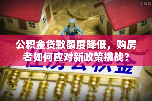 若尔盖公积金贷款额度降低，购房者如何应对新政策挑战？