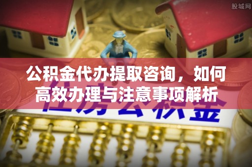 若尔盖公积金代办提取咨询，如何高效办理与注意事项解析