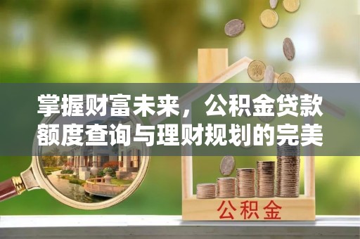 若尔盖掌握财富未来，公积金贷款额度查询与理财规划的完美结合