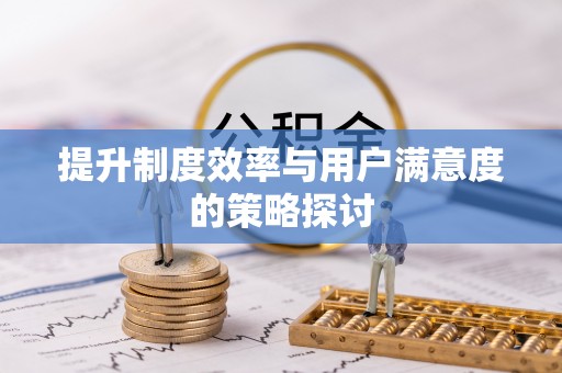 若尔盖提升制度效率与用户满意度的策略探讨